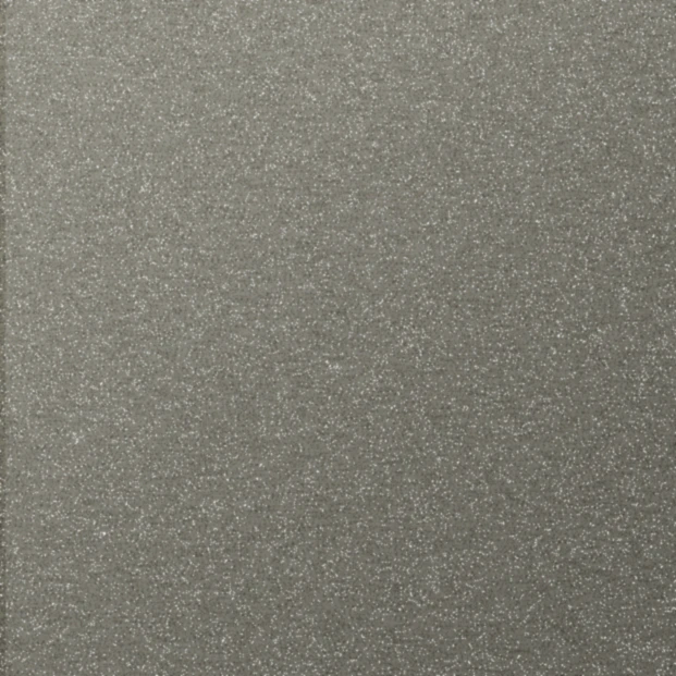 Nori Flash Silver
