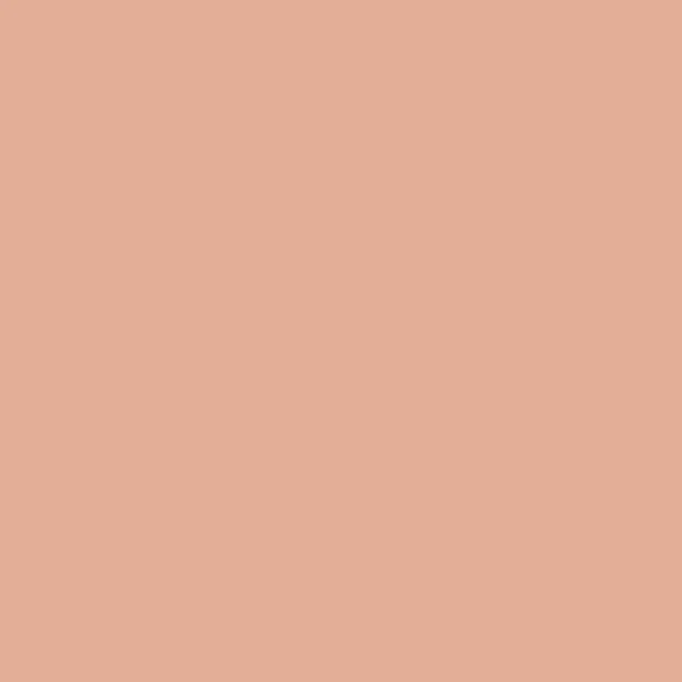 Solid Mud Red
